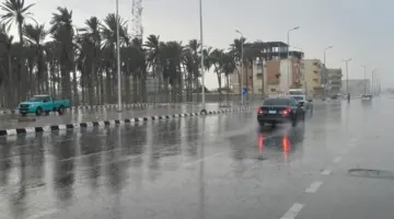 هل تشهد البلاد موجات برد وأمطار جديدة الفترة المقبلة؟.. «الأرصاد» توضح.